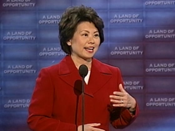Labor Secretary Elaine Chao is among the Bush cabinet members annoucing grants while making appearances with Republican candidates who's jobs are at risk this election.