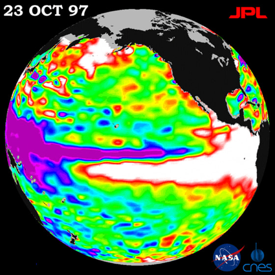 Warm water caused by a 1997 El Nino is shown in white in the map created based on a NASA satellite. The white area represents a mass of water 30 times greater than all the Great Lakes and was flowing towards the Americas at the time.