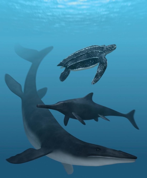 Image: Sea monsters