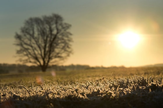 Image: Sunrise in Dresden