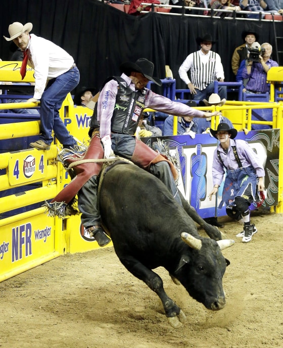 Be prepared for the bull market to slow this year, but the ride may be rockier as stock market volatility should increase with less Fed stimulus