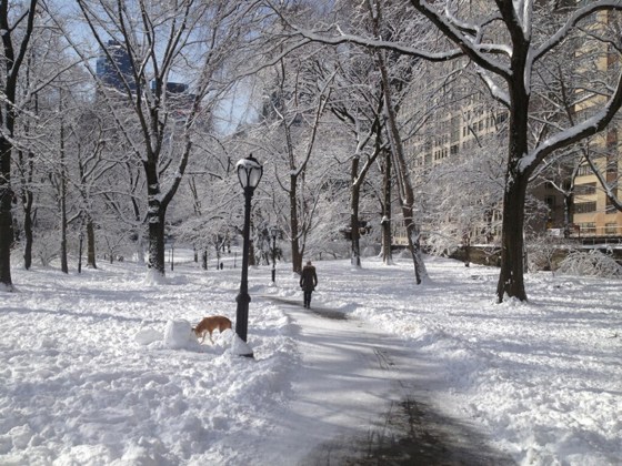 Image: People walk in Central Park