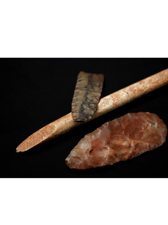 Ice Age Infant's Genome Fills in Native American Ancestry