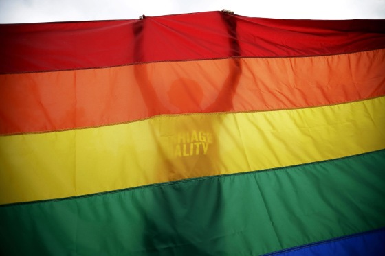 Image: A man holds up a flag during a rally for gay marriage