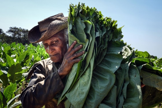 decherd food and tobacco Tobacco In Our Communities