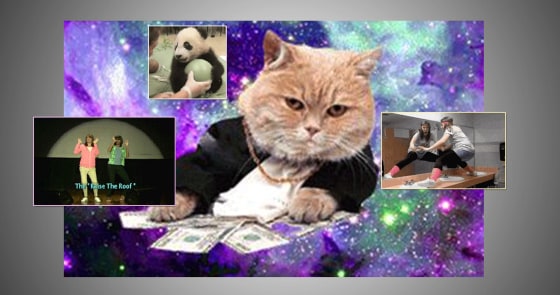 Screenshots of various gifs on White House website