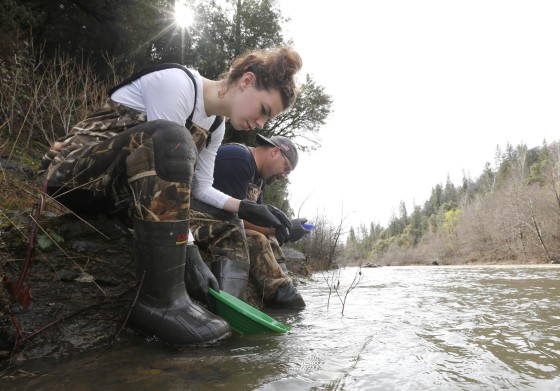 In this photo taken Tuesday, March 4, 2014 Tim Amavisca, 38, and his daughter Hailey, 15, pan for gold along the Bear River near Colfax, Calif.