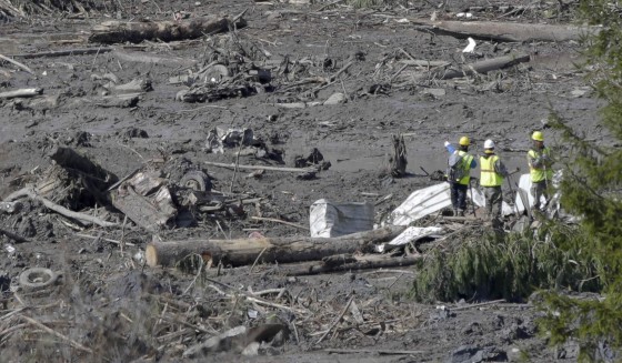 Image: Workers look on as search work continues in the mud and debris from a massive mudslide that struck Oso near Darrington, Washington