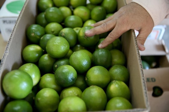 Box of limes