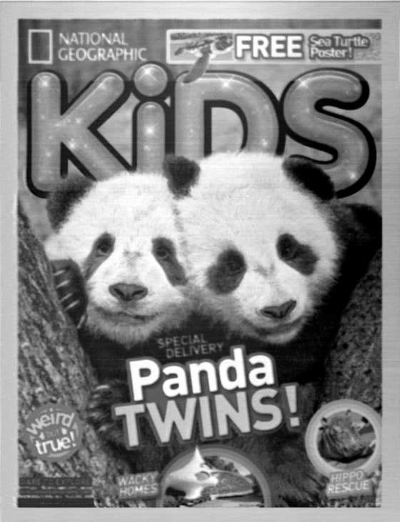 Image: An image of smallest magazine cover in the world commissioned by National Geographic Kids is seen in an undated handout