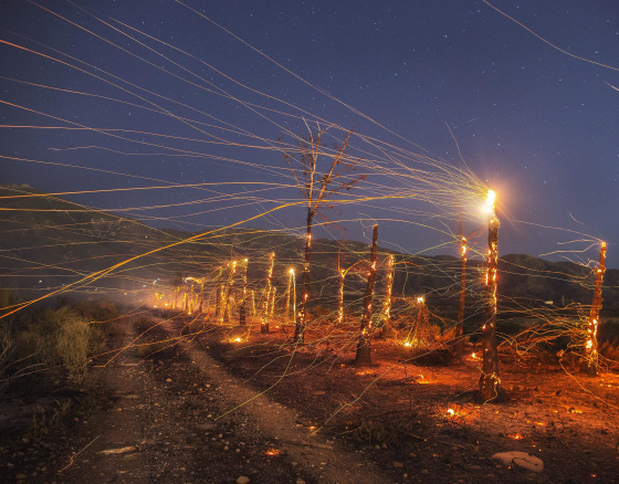 Image: A long exposure image of embers flying off burnt trees following the wind driven wildfire ranging in the mountain area near Rancho Cucamonga