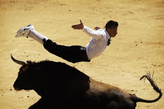 A 'recortador' jumps over a bull during a bullfight in Madrid, Spain, on May 2.