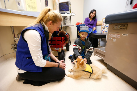 Patient Bobby Harris plays with Swoosh, a miniature Pomeranian, that visits Children's Hospital with its owner and volunteer Michelle Thompson.