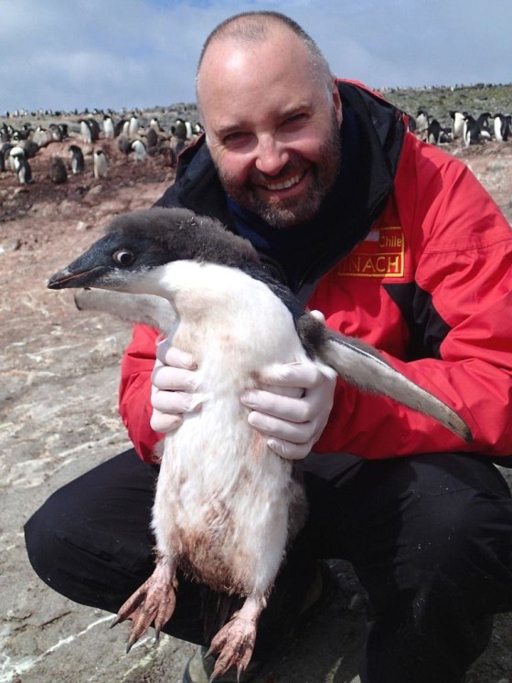 Image: Aeron Hurt of WHO with an Adelie penguin