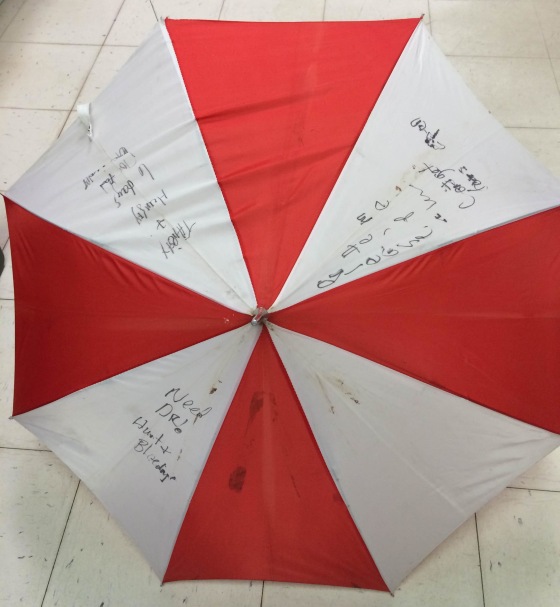 Image: Kristin Hopkins wrote messages on an umbrella and stuck it out her wrecked car window