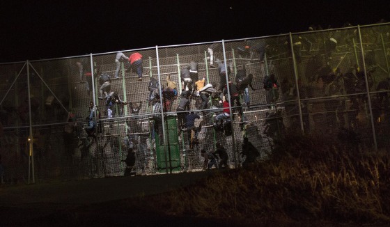 Image: Sub-Saharan migrants scale a metallic fence that divides Morocco and the Spanish enclave of Melilla