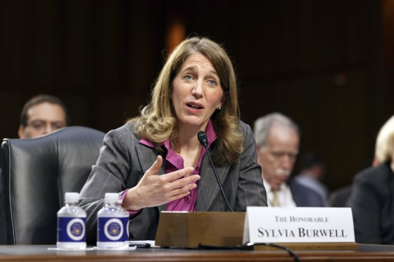 Image: Syvia Burwell