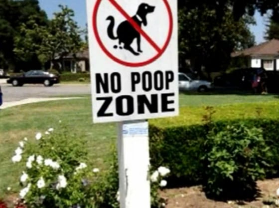 Image: The mayor of an affluent Southern California city was caught on camera leaving a bag of what appeared to be dog feces on his neighbor’s property, police said, and the neighbor believes this wasn't an accident.