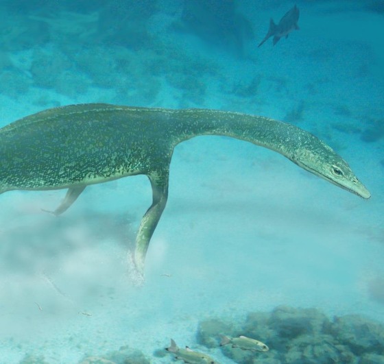 Ancient Long-Necked 'Sea Monsters' Rowed Their Way to Prey