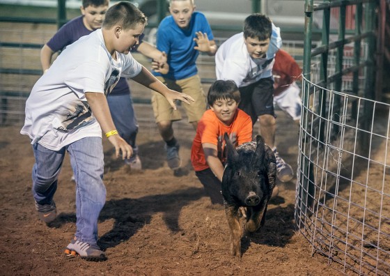 Ten to twelve-year-olds chase after the pig during the greased pig contest Wednesday June 25, 2014, at the Garrard County Fair near Lancaster, Ky.