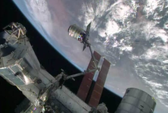 Image: Cygnus capture