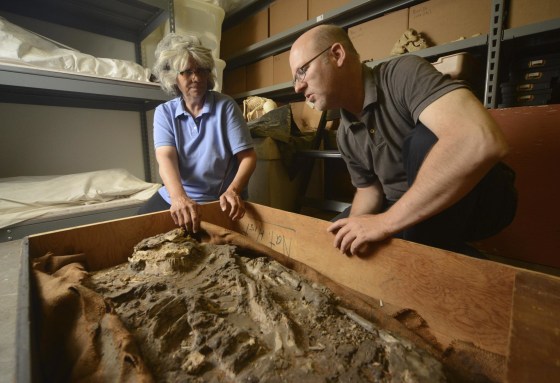 Image: Researchers with skeleton