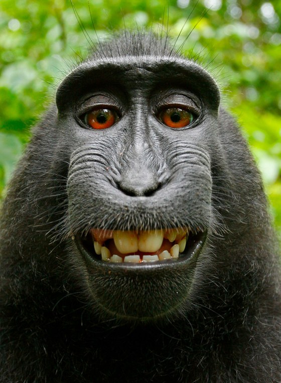 The selfie that caused all the fuss.