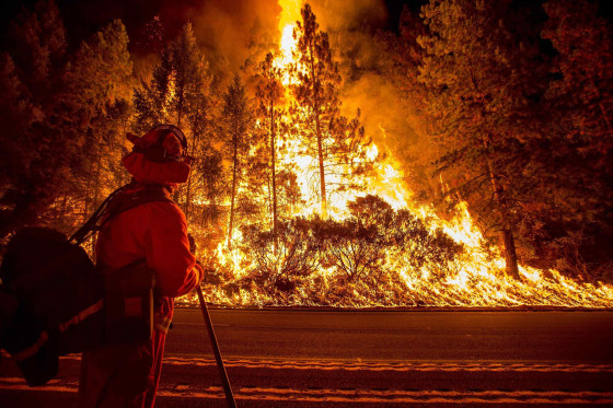 Image: A firefighter battling the King Fire watches as a backfire burns along Highway 50 in Fresh Pond