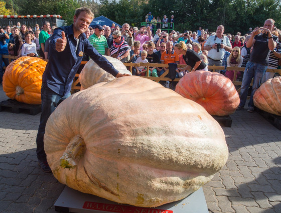 Image: Pumpkin championship
