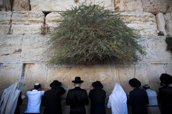 Image: Yom Kippur fast