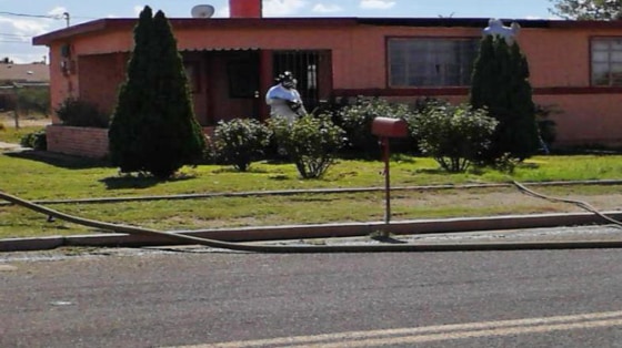 One landscaper was killed, and another critically injured, after they were attacked by a large swarm of bees in Douglas, Ariz., on Oct. 8.