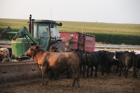 Image: Russia' Ban On US Agricultural Imports To Affect US Food Industry