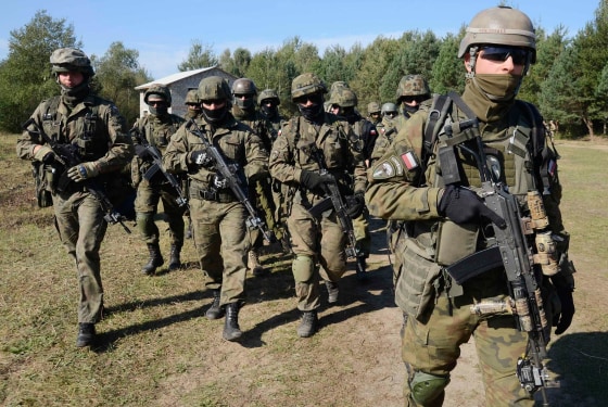 Image: Polish servicemen take part in military exercises outside the town of Yavoriv near Lviv