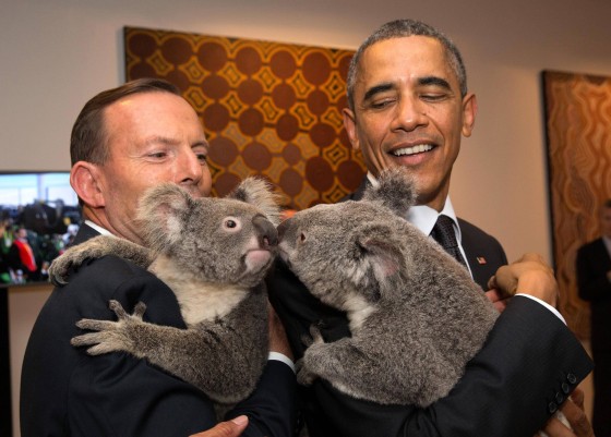 Image: G20 Australia handout photo shows Australia's PM Abbott and U.S. President Obama each holding a koala before the G20 Leaders' Summit in Brisbane