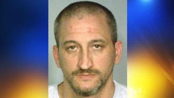 Image: David Wieseckel