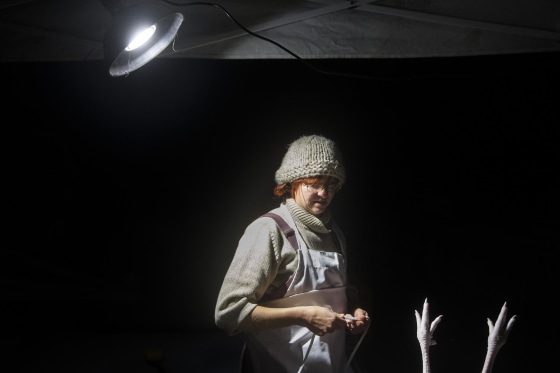 Image: Mary Carpenter