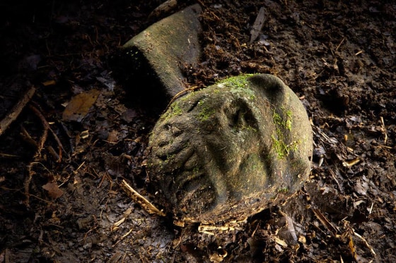 A “were-jaguar” effigy, likely representing a combination of a human and spirit animal, is part of a still-buried ceremonial seat, or metate, one of many artifacts discovered in a cache in ruins deep in the Honduran jungle. 