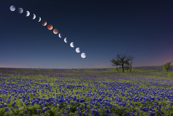 A time lapse of the lunar eclipse over a bluebonnet field in Ennis, Texas on April 15.