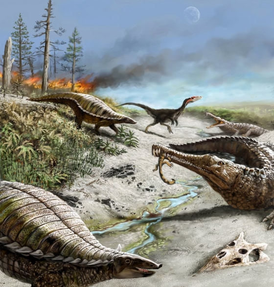 Tropical Climate Was Too Wild for Biggest Dinosaurs