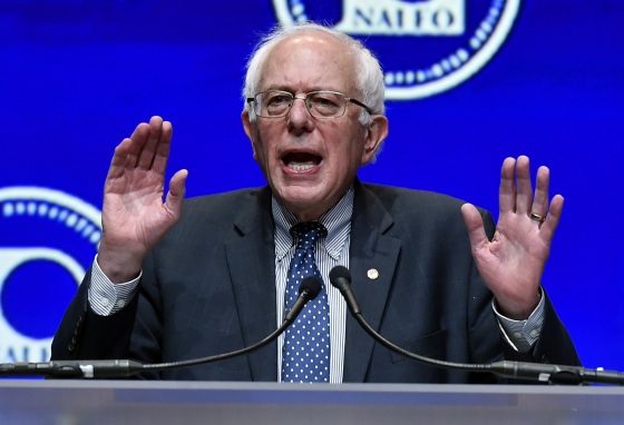 Image: Bernie Sanders