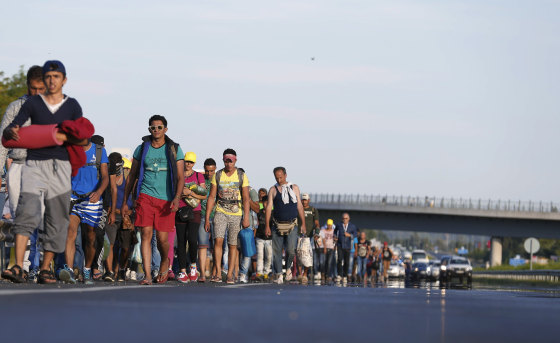 Image: Migrants march along the highway towards the border with Austria