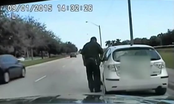 IMAGE: Driver insults Florida sheriff's deputy