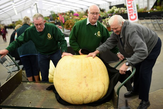 Image: BRITAIN-OFFBEAT