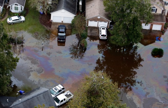 Image: An oil sheen covers flood waters in South Carolina