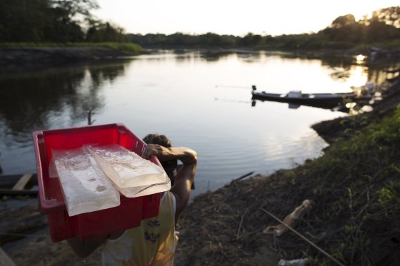 Image: A resident carries ice blocks produced on solar-powered ice machines at Vila Nova do Amana community in the Sustainable Development Reserve, in Amazonas state