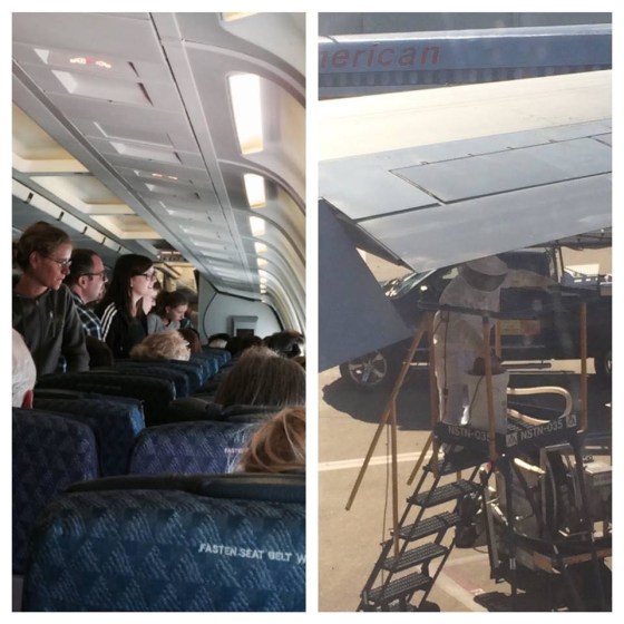 Bees on American Airlines flight