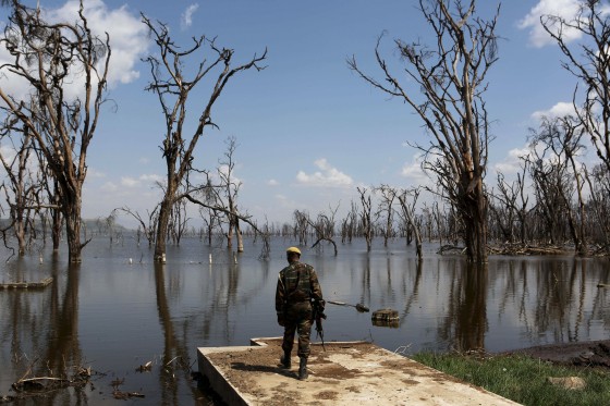Image: A park ranger surveys damage caused by flooding at Lake Nakuru National Park