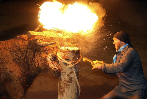 Image: A bull with a set of burning torches attached to its horns chases participants in Medinaceli
