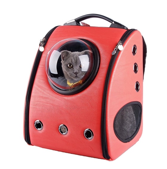 Backpack with bubble window new arrivals