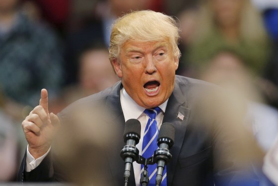 Image: Republican presidential candidate Donald Trump